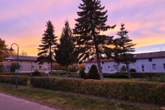 Gruenanlage-vor-dem-Haus