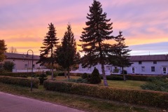 Grünanlage vor dem Haus