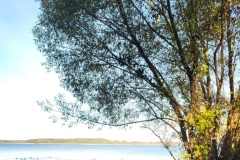 Hundestrand-Urlaub-fuer-die-Vierbeiner