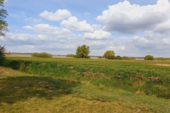 Landwirtschaft-am-See