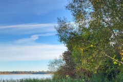 Separater-Hundestrand