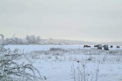 Winter-Wonderland