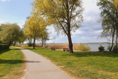 lange-gruene-Strandpromenade