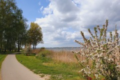 lange-gruene-Strandpromenade2
